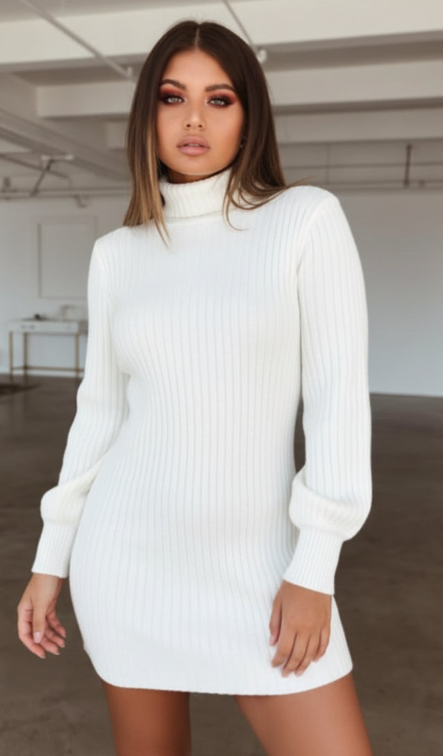 High Collar Slim Fit Long Sleeve Dress