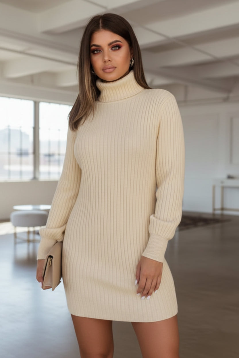 High Collar Slim Fit Long Sleeve Dress