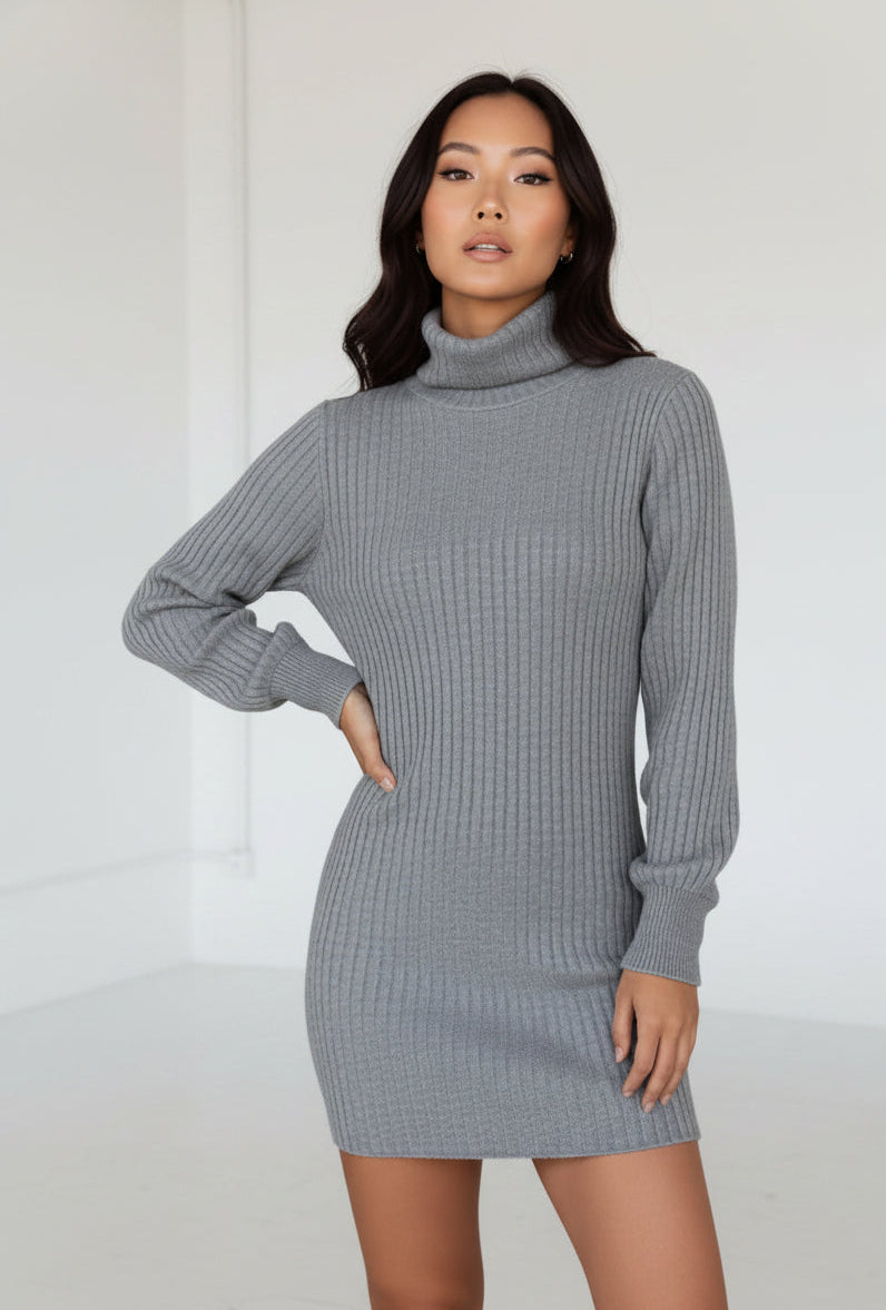 High Collar Slim Fit Long Sleeve Dress