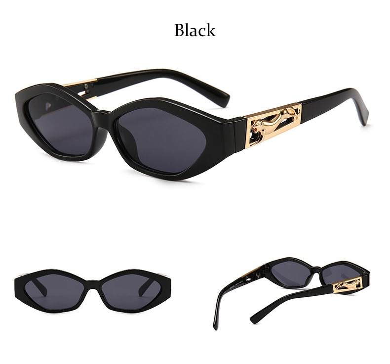 Luxury Oval-Rectangular Sunglasses