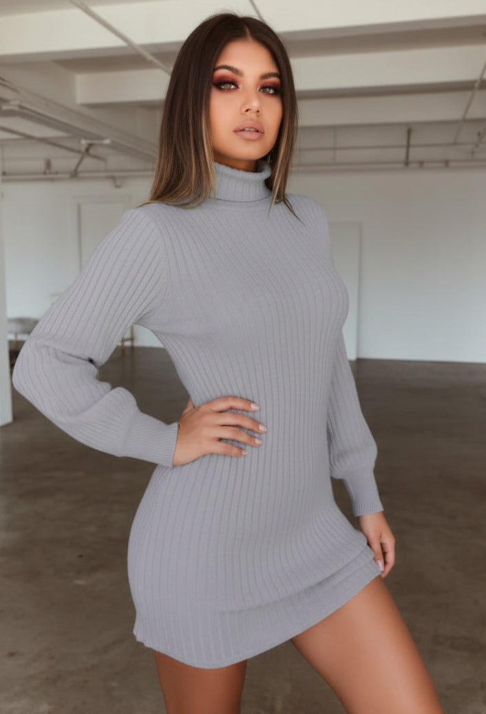 High Collar Slim Fit Long Sleeve Dress